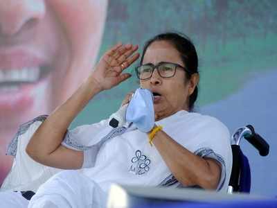 West Bengal assembly elections: BJP hired goons to threaten voters, says Mamata Banerjee