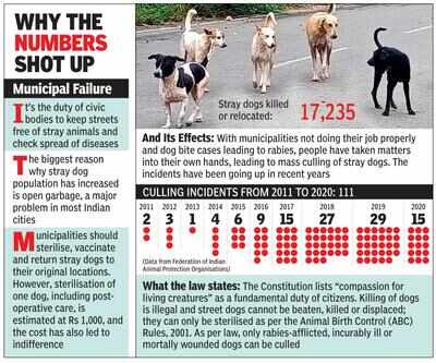 8 Noida residents move HC for solution to stray dog problem | Noida News - Times of India 8 Noida residents move HC for solution to stray dog problem | Noida News - Times of India