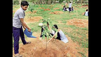 Haritha Haram ups Telangana’s forest cover by more than 3.6% ...