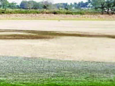 Study finds signs of groundwater dip in West Bengal
