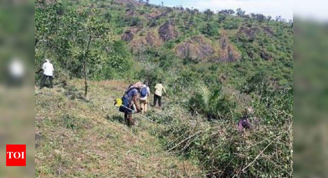 Conservation goals: Kerala community uses solar energy to protect sandalwood  reserve from smugglers