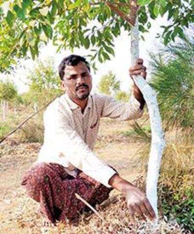 Techie Turns Weekend Farmer Sows Seeds To Secure Future Hyderabad News Times Of India