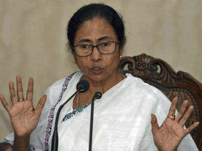 New political party backed by BJP to eat into minority votes: Mamata