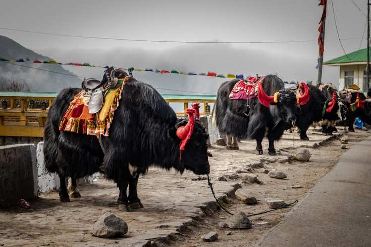 North Sikkim