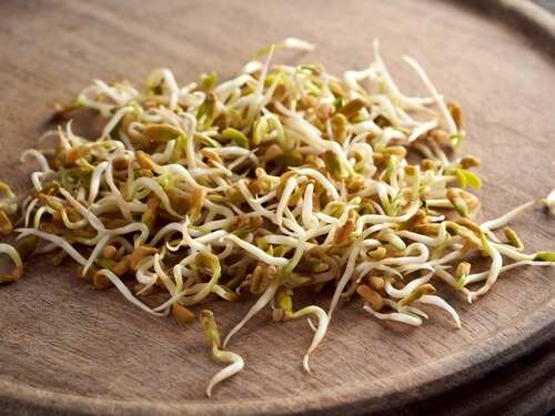 Weight loss: 4 ways to use methi dana to lose weight faster | The Times of India