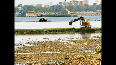 Telangana failed to protect lakes: CAG report