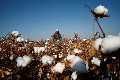 AEPC urges government to put restrictions on cotton yarn exports