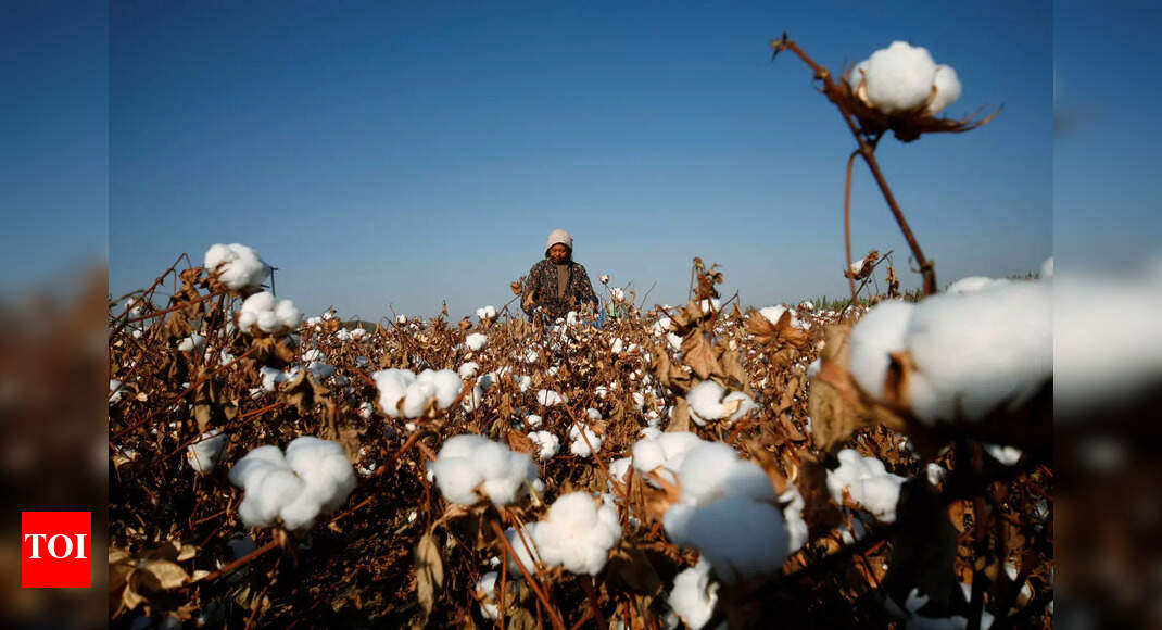 AEPC urges government to put restrictions on cotton yarn exports