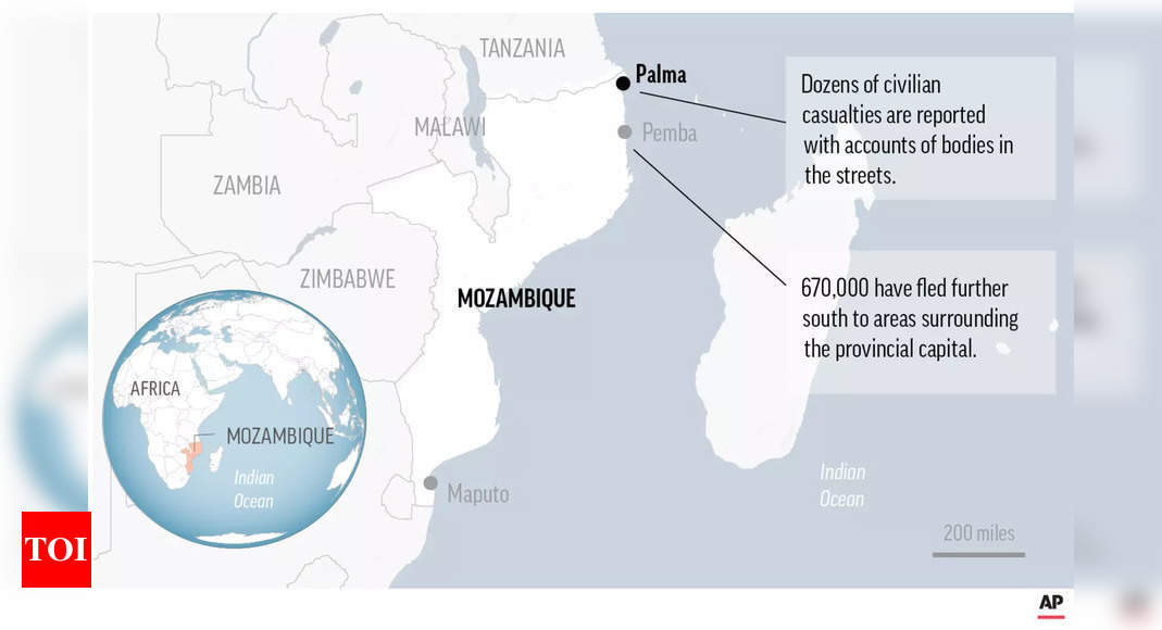 Dozens killed in Mozambique Islamist attack: Government