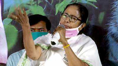Assembly polls: Why was Amit Shah mum when Hathras took place, asks Mamata Banerjee