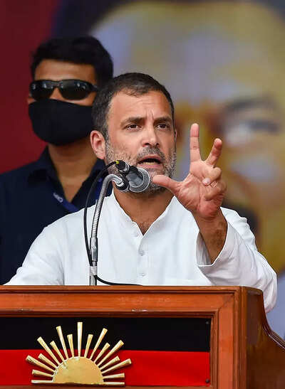 Ex-MP calls Rahul 'unmarried trouble-maker', courts controversy in Kerala