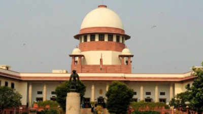 SC-appointed panel on farm laws submits report