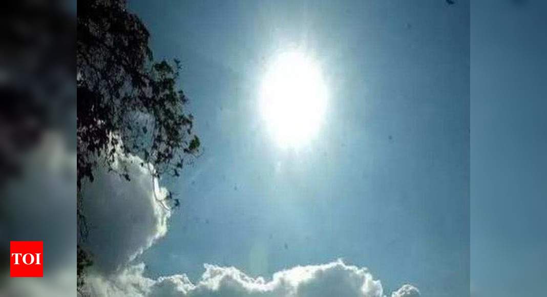 Heat wave likely across parts of Tamil Nadu for four days IMD