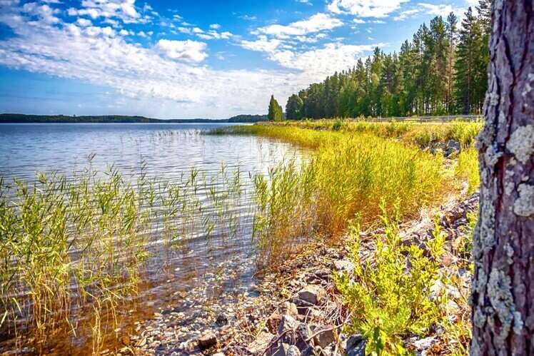 ​Can&rsquo;t miss out on Finnish Lakeland