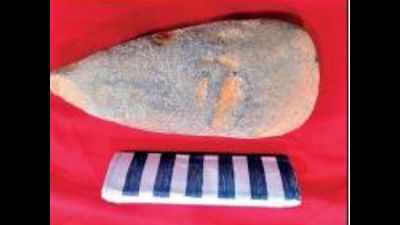 Karnataka: Stone farming tools found in Shivamogga
