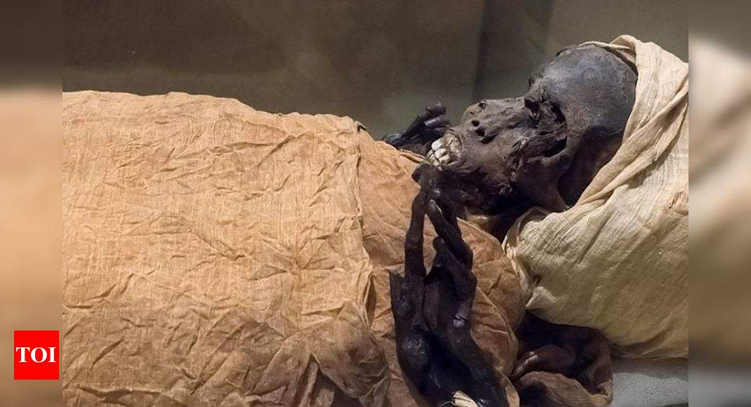 March of the Mummies: Egypt readies for Pharaohs' Parade