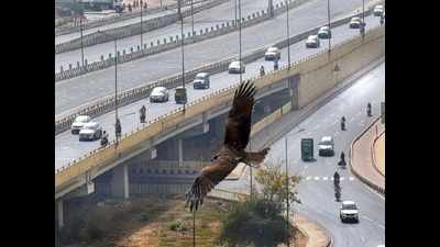 Go from Delhi to Meerut in 45 minutes as expressway opens for public