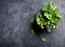 Use mint to get rid of acne scars