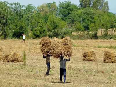 'Bonded labourers' on Punjab farms: MHA prods Punjab govt for action