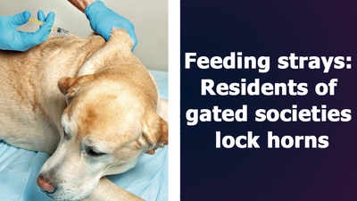 Feeding Strays: Residents of gated societies lock horns