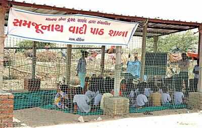 Gujarat: Snake charmers get school in hood | Ahmedabad News - Times of India Gujarat: Snake charmers get school in hood | Ahmedabad News - Times of India