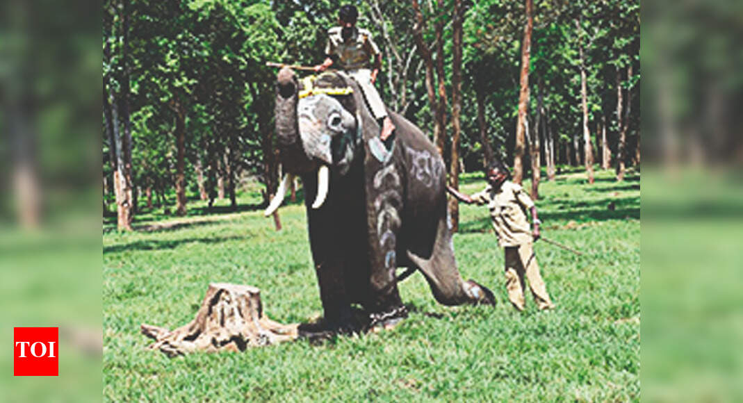 Karnataka: A jumbo camp on Veerappan’s turf