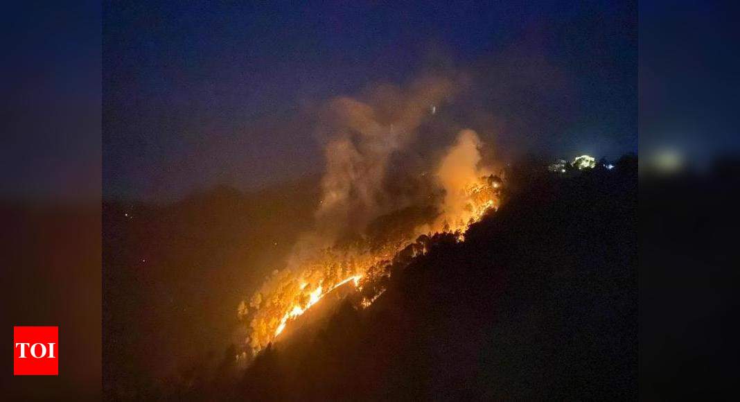 ‘Forest Fires Coming Close To Private Estates In Nainital’ | Dehradun ...