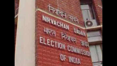 EC to take final call on repoll in Sonai seat: DC