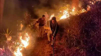 Wildfire guts 1,300 hectare forest cover in Uttarakhand