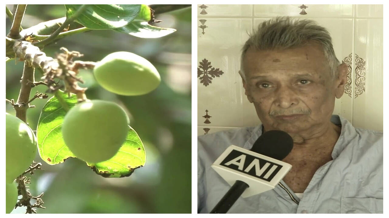 B V Subba Rao Hegde This 84yearold man has preserved over 150 rare mangoes