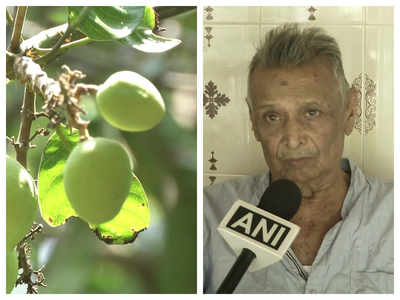 This 84-year-old man has preserved over 150 rare mangoes