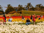 Spring in blossom around the world