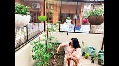 Lockdown made Rohtak city of rooftop kitchen gardens