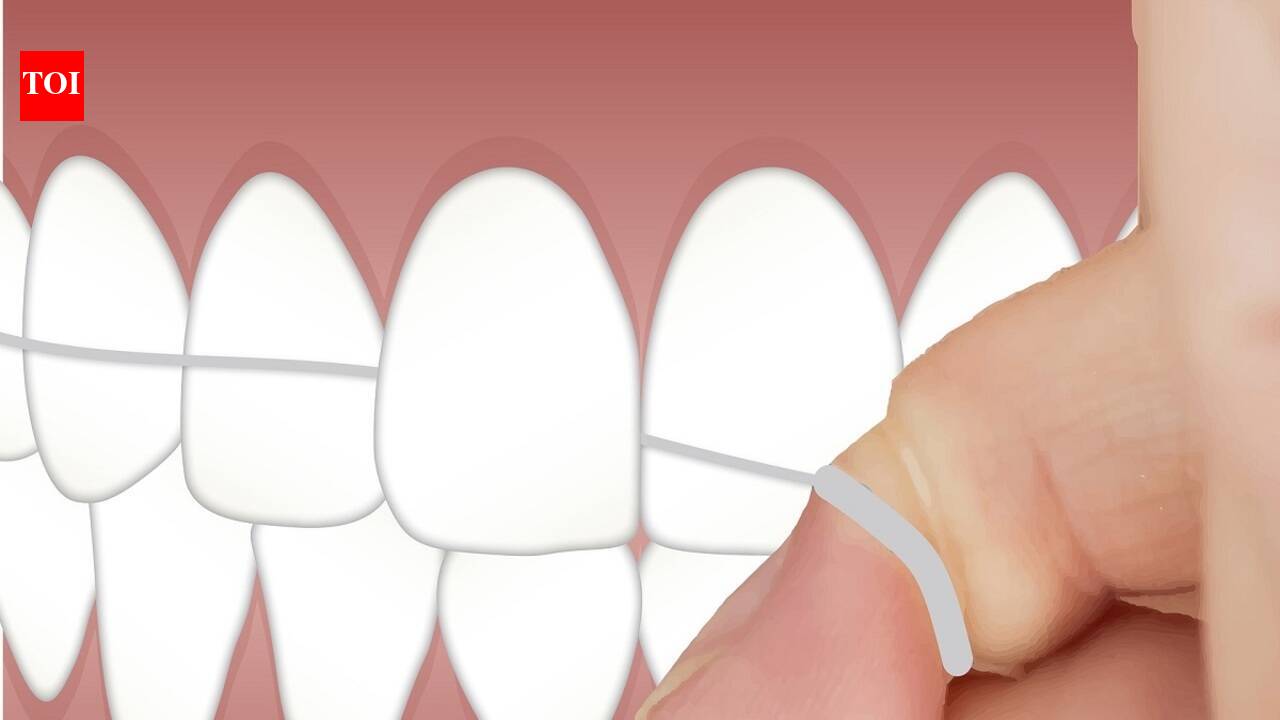 Dental floss strings to easily clean your teeth & gum line after every ...