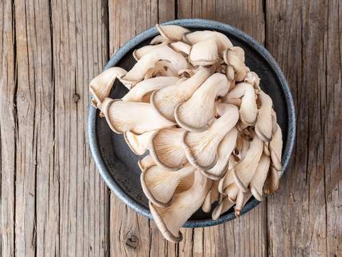 How to identify, pick, store and cook the perfect mushrooms | The Times of  India