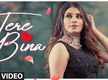 
Watch Latest Punjabi Song 2021 'Tere Bina (Full Song)' Sung By Mannat Noor
