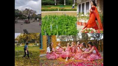 A photography contest capturing Chandigarh spring through the camera