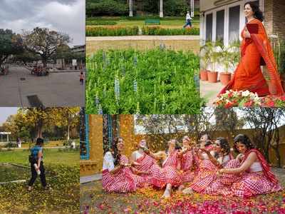 A photography contest capturing Chandigarh spring through the camera