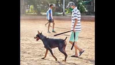 Order withdrawn, pets can now enter parks