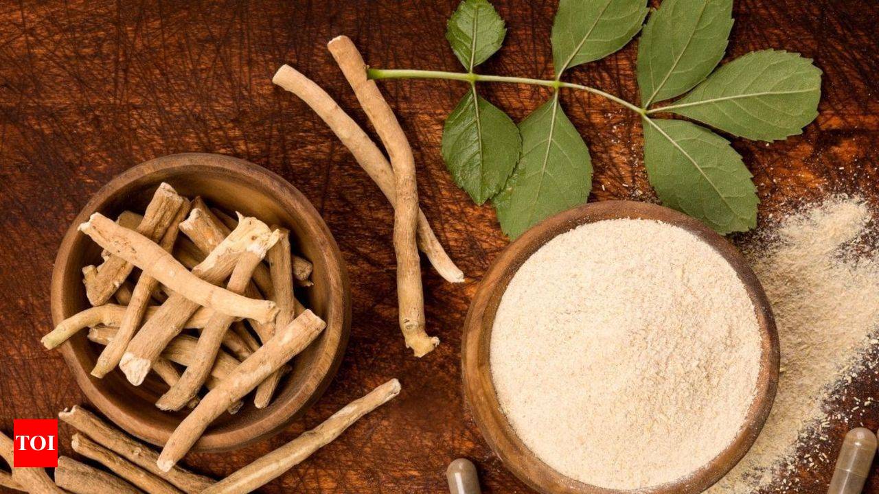 Ashwagandha 10 health benefits and how you can use it Times of