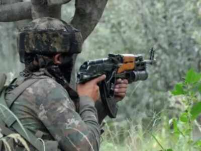 3 terrorists killed in Shopian encounter