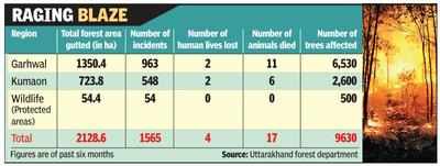‘Over 50% van panchayats dysfunctional in Uttarakhand’