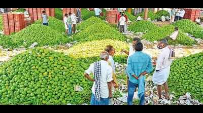 King of fruits floods markets, supply to Hyderabad will increase soon