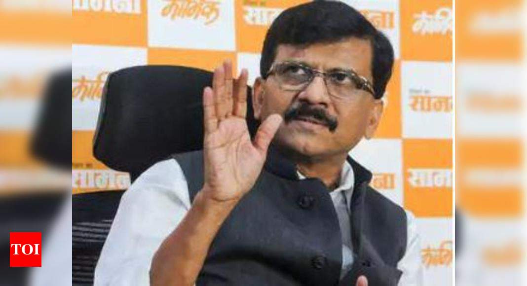 Sena min couldn’t have done any wrong: Raut