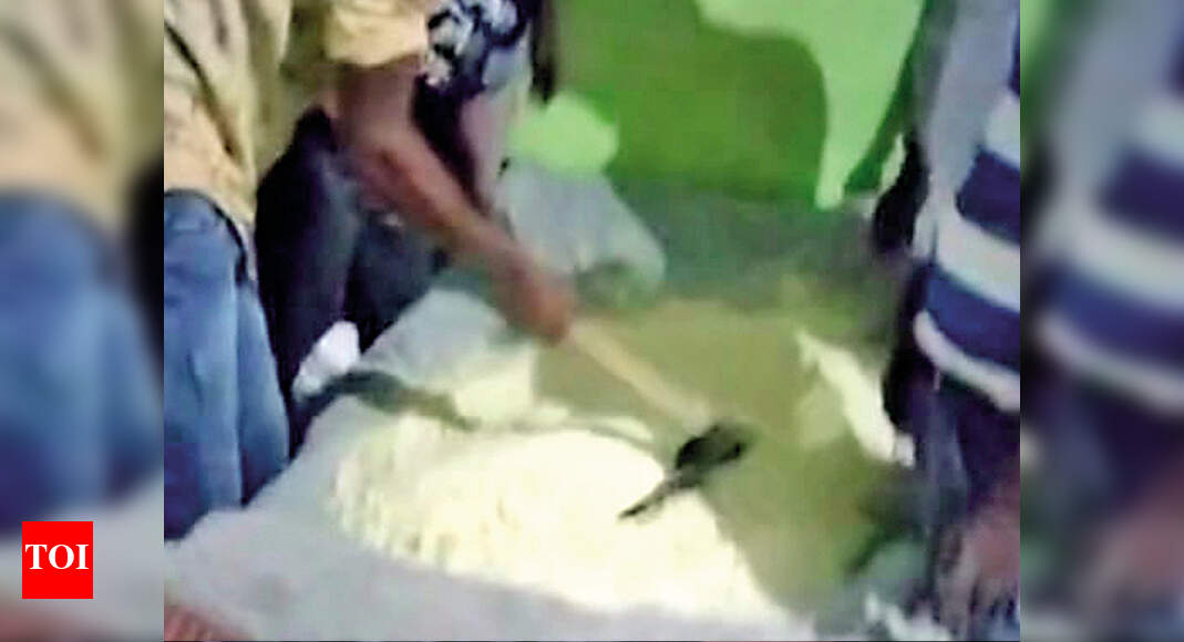 In UP, earthmovers used to make laddoos for voters | Meerut News - Vimarsana News