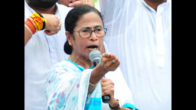 Just wanted to keep votes united, CM Mamata defends stance