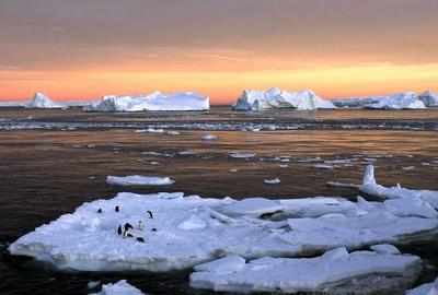 Third of Antarctic ice shelf area at collapse risk due to global warming