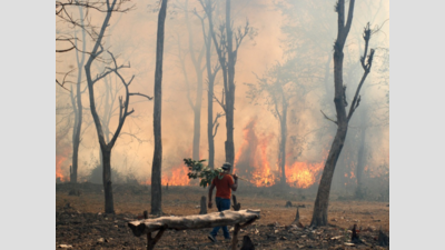 Forest fires turn Uttarakhand’s air lethal