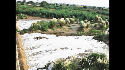 Mining department asks DC to demarcate Ghaggar riverbed
