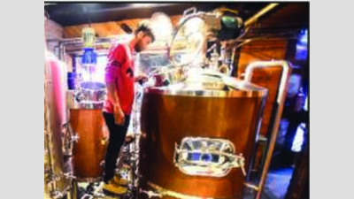 Jaipur: Now, hotels and clubs can set up microbreweries